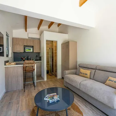 A C House With Pool & 3br 8p Gassin